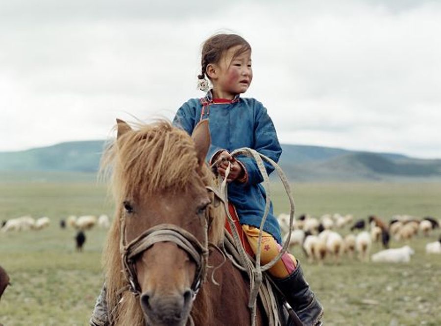 Le chien jaune de Mongolie